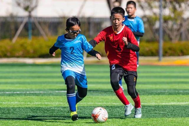 邱彪：辽宁给我们上了一课 希望这种学费少交